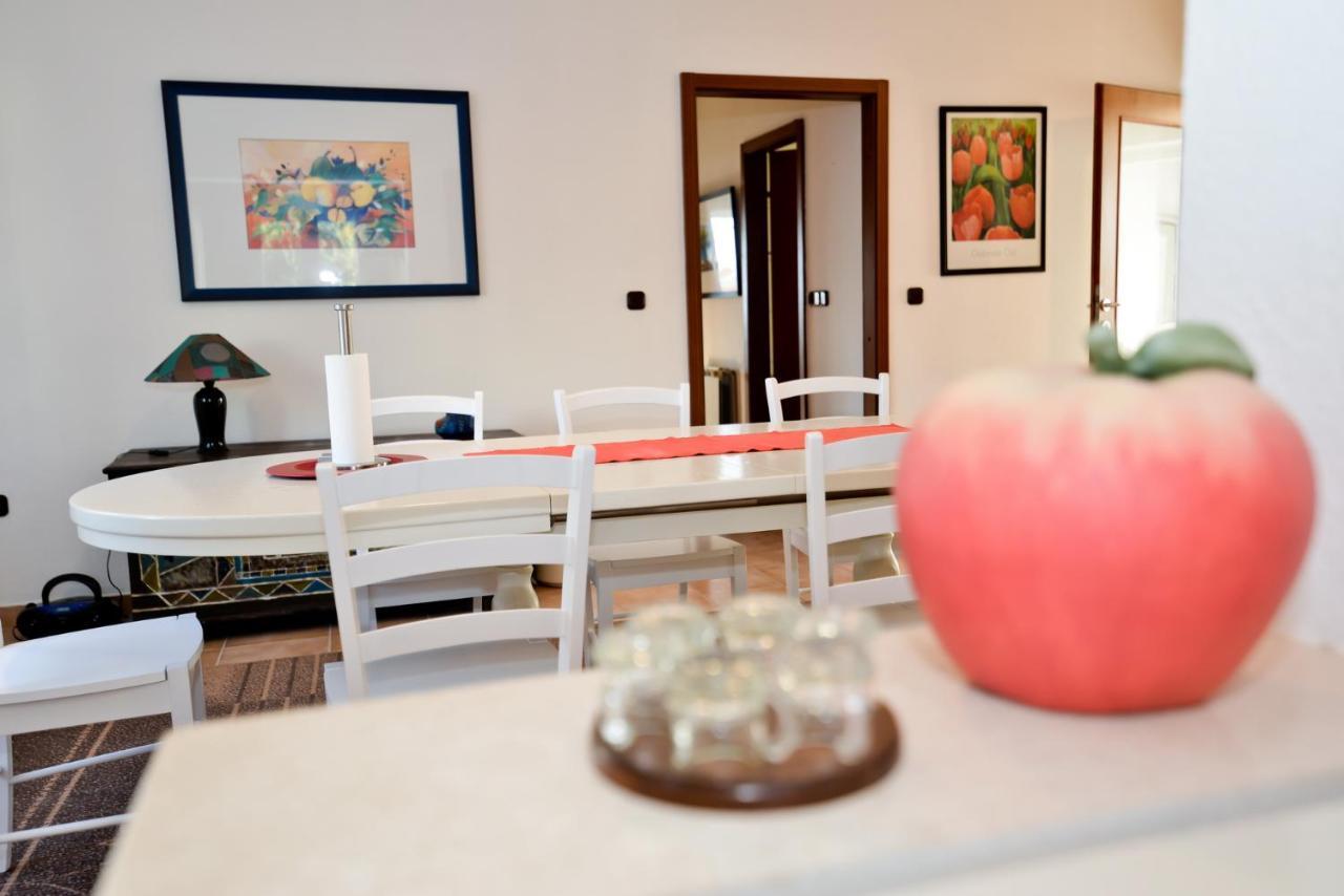 Apartmani Vidikovac Dokoza Zadar Dış mekan fotoğraf